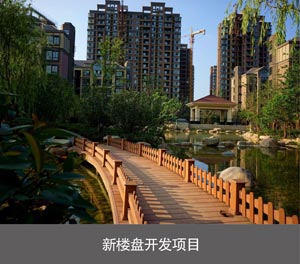 雙層機(jī)械停車設(shè)備新樓盤開發(fā)項目