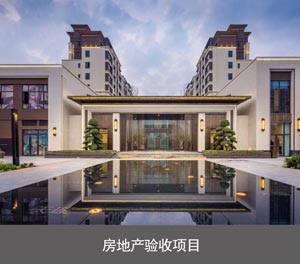 雙層機(jī)械停車設(shè)備房地產(chǎn)驗收項目